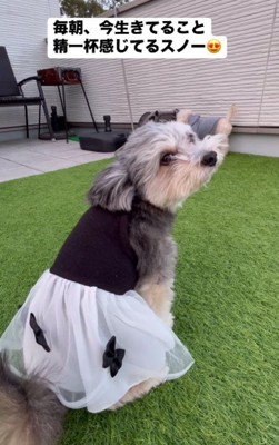 面倒見のいい一面も