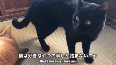 「踏むのは僕なりの愛情表現にゃ♡」