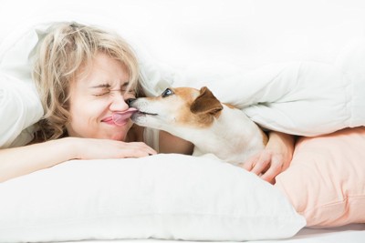 犬を布団に入れる女性