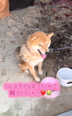 それでも笑顔を見せてくれる