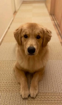 かーる君の成長記録5