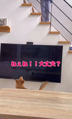 らむねちゃんとお姉ちゃんの再会5