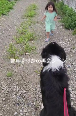 レオンちゃんのお散歩中