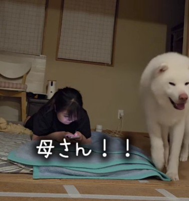 大急ぎでママの元へ