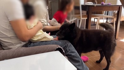 赤ちゃんの足を舐める一休さん