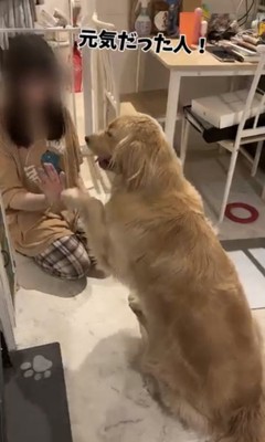 友人の手に前足を重ねる麹くん