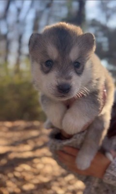 ムウくんの成長2