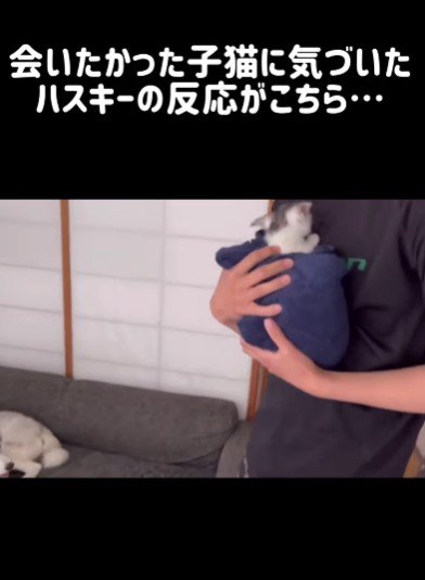 子猫と２度目の対面