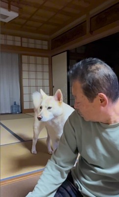 きなこちゃんとおじいちゃんのやり取り8