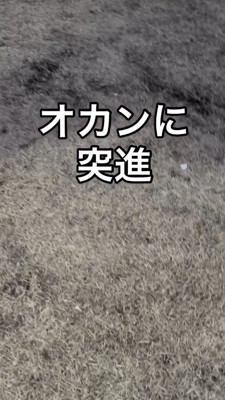 響き渡る女性の声