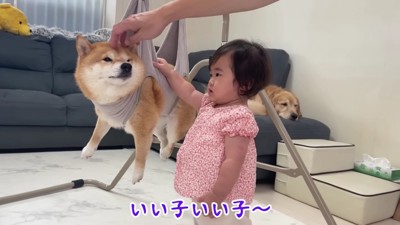 爪切りのための補助器具でした