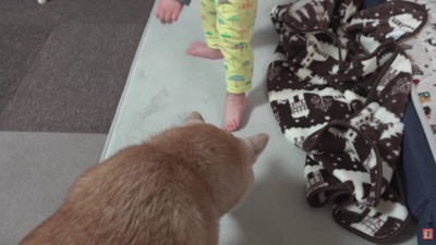 みーくんとの交流