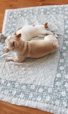 JOYくんとTOMくん⑩