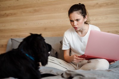 飼い主の女性に睨まれる犬