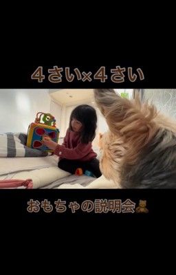 4歳の女の子と虎太郎くん2