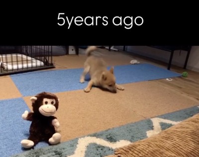 やっぱりマネしてくる!