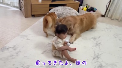 うにくんに獲られちゃった!