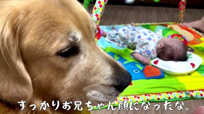 すっかり兄の顔に!