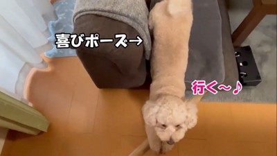 行く気満々!