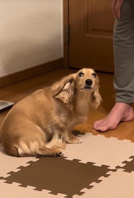 反省していることをアピール!