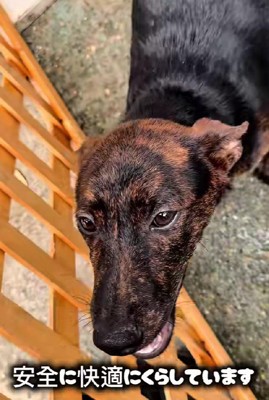 のびのびと暮らしてるよ♪