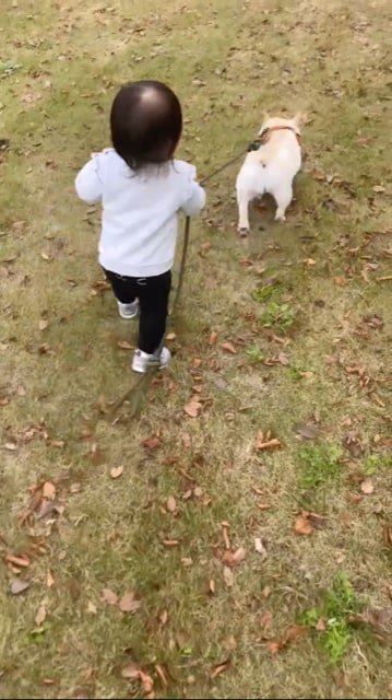 お散歩する犬と赤ちゃん