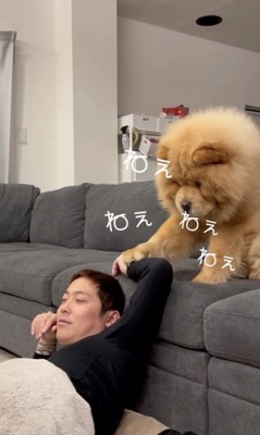 止まらないアピール