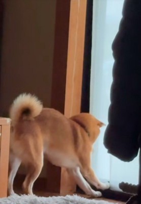 リクくんにハプニング発生6