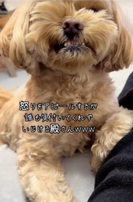 「怒ってるんだから…！」