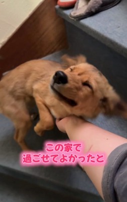 笑顔のクルミちゃん