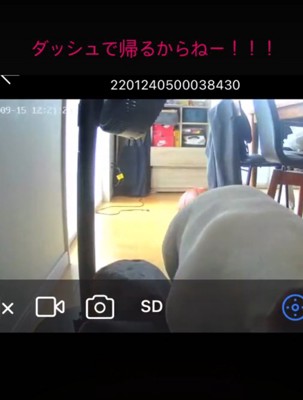 うつむく犬1