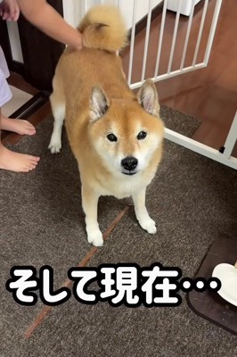 女の子に優しくなでられると…