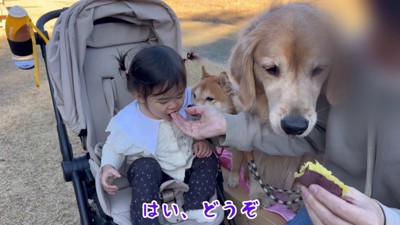 焼き芋を食べて休憩