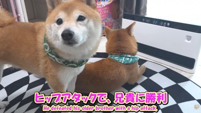 場所を奪い取ることに成功