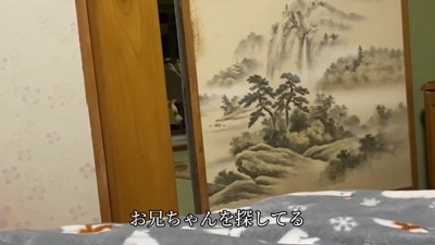 廊下でキョロキョロするはるちゃん