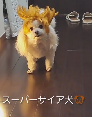 キョトン顔にクスッ