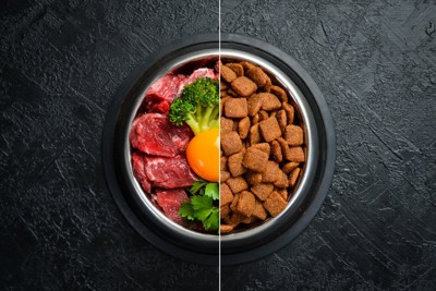 ドッグフード
