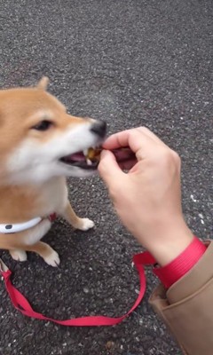 「♪イモイモ、最高～！」