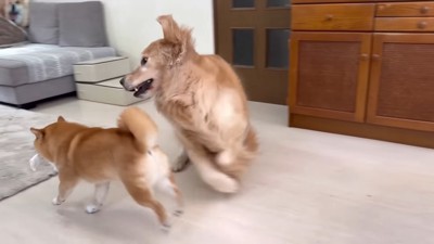 「持ってっちゃダメ～！！」