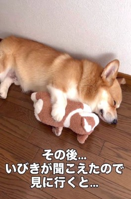 いびきをかいて熟睡中