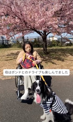 桜の木をバックに写真撮影