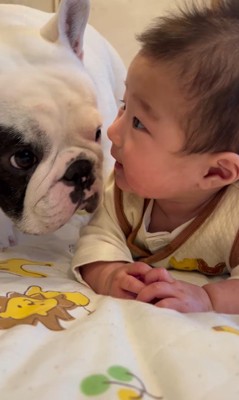 こぶし君と赤ちゃん3