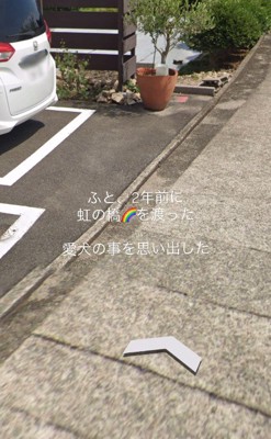 自宅を見てみると…