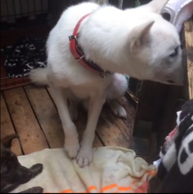 リキくんとすずちゃん6