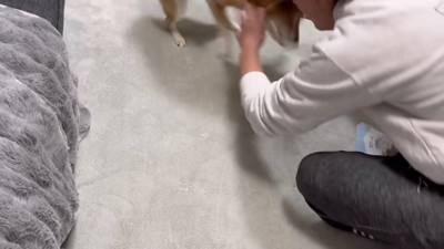 逃げ足が速くて失敗