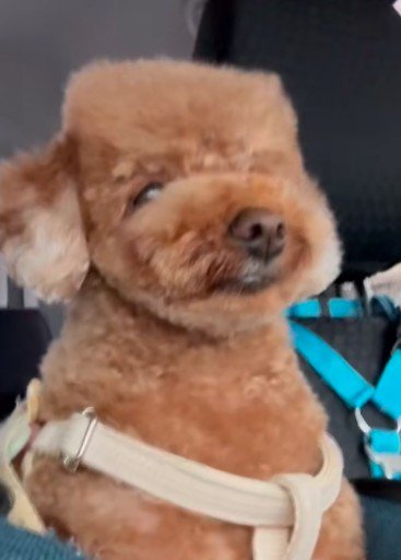 ちょっぴり不服そう!?