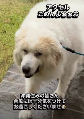 無事家に到着
