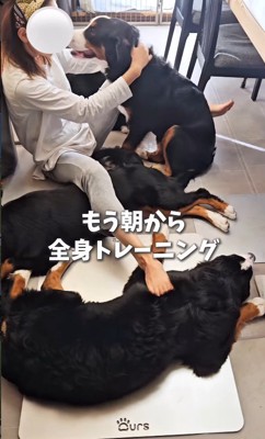 忙しいけれど幸せそう♡