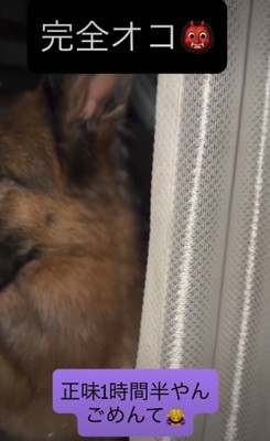 横を向く犬2