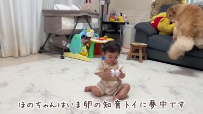 知育おもちゃで遊ぶほのちゃん